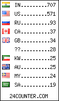 visitors by country counter
