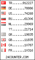 visitors by country counter