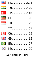 visitors by country counter