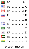 visitors by country counter