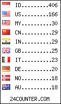 visitors by country counter