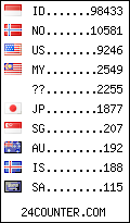 visitors by country counter