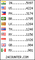visitors by country counter