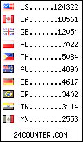 visitors by country counter