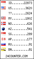 visitors by country counter