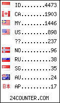 visitors by country counter