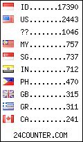 visitors by country counter