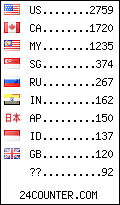 visitors by country counter