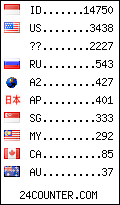 visitors by country counter
