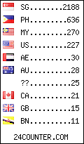 visitors by country counter