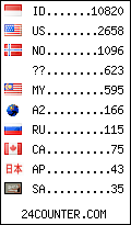 visitors by country counter