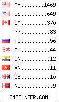 visitors by country counter
