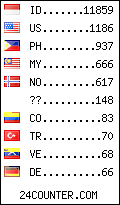 visitors by country counter
