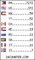 visitors by country counter