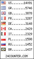 visitors by country counter