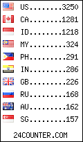 visitors by country counter