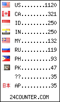 visitors by country counter