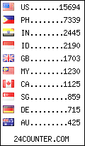 visitors by country counter
