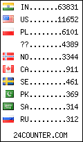 visitors by country counter