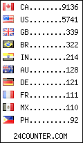 visitors by country counter