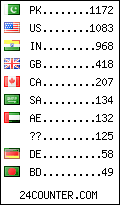 visitors by country counter