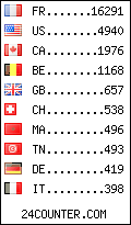 visitors by country counter