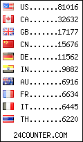 visitors by country counter