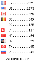 visitors by country counter