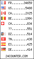 visitors by country counter