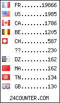 visitors by country counter