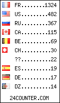 visitors by country counter