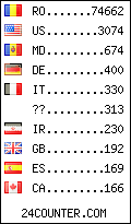 visitors by country counter