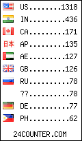 visitors by country counter