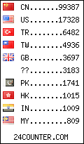 visitors by country counter