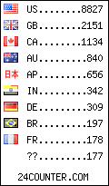 visitors by country counter