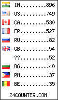 visitors by country counter