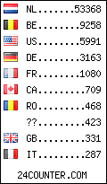 visitors by country counter