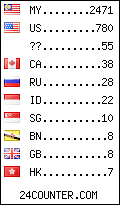 visitors by country counter