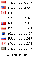 visitors by country counter