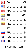 visitors by country counter