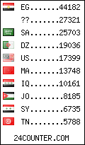 visitors by country counter