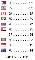 visitors by country counter