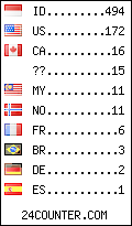 visitors by country counter