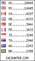 visitors by country counter