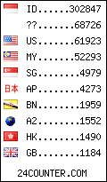 visitors by country counter