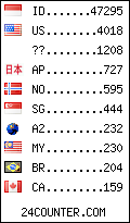 visitors by country counter
