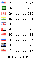 visitors by country counter