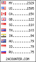 visitors by country counter