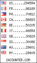 visitors by country counter