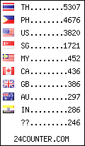 visitors by country counter